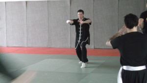 hunggarnancy-artsmartiaux-wushu-kungfu-ericbourbonnais-18janvier2015-17  